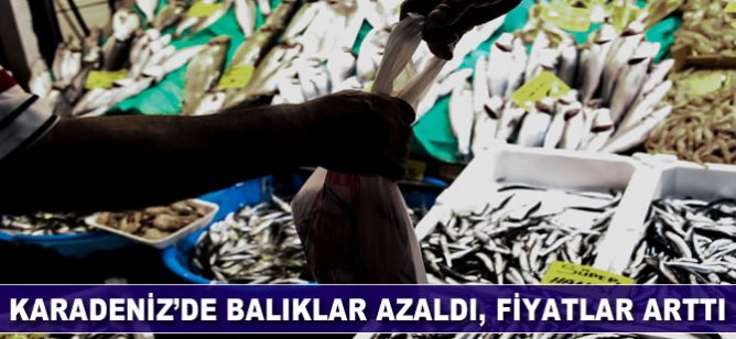 Karadeniz'de balıklar azaldı, fiyatlar arttı