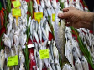 Balıkçılık yeni kanunla ivme kazanacak