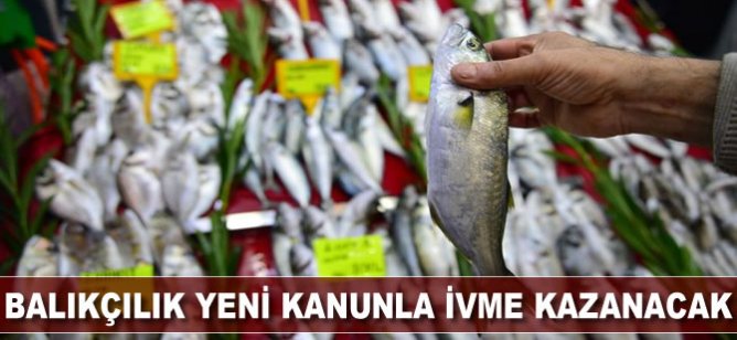 Balıkçılık yeni kanunla ivme kazanacak