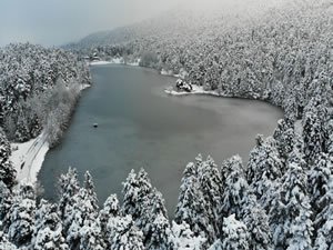 Gölcük Tabiat Parkı'ndaki göl buz tuttu