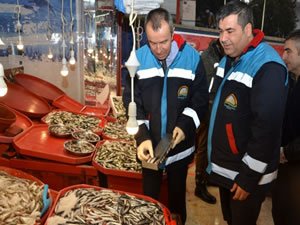 Karabük’te balık tezgahlarında denetim yapıldı