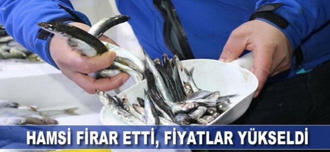 Hamsi firar etti, fiyatlar yükseldi