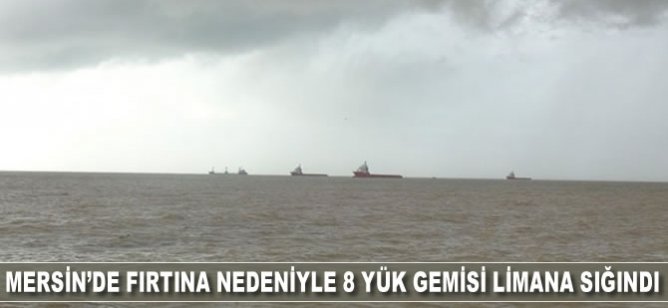 Mersin'de fırtına nedeniyle 8 yük gemisi limana sığındı