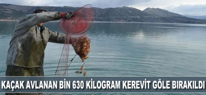 Kaçak avlanan bin 630 kilogram kerevit göle bırakıldı