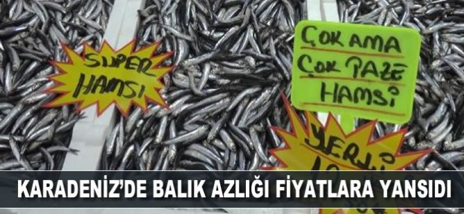 Karadeniz'de balık azlığı, fiyatlara yansıdı