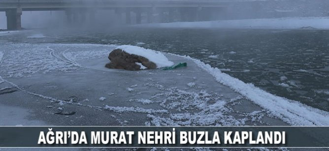 Murat Nehri buzla kaplandı