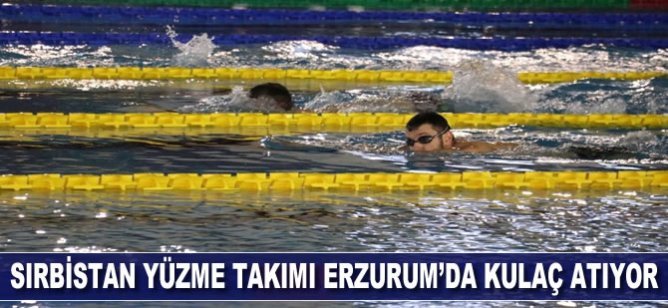 Sırbistan Yüzme Milli Takımı madalya için Erzurum'da kulaç atıyor
