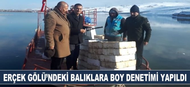 Erçek Gölü'ndeki balıklara boy denetimi yapıldı