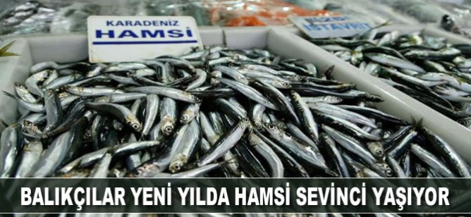 Balıkçılar yeni yılda hamsi sevinci yaşıyor