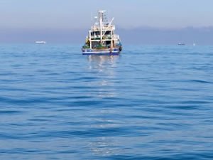 Kaybolan balıkçıyı arama çalışmaları sürüyor