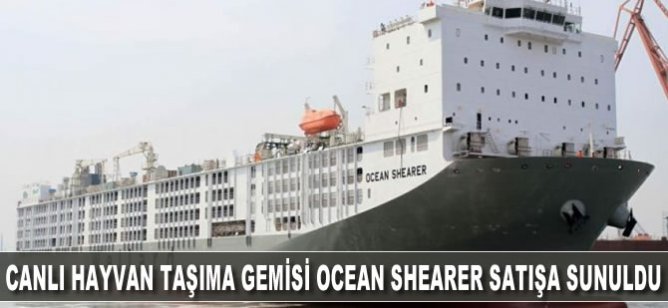 Canlı hayvan taşıma gemisi Ocean Shearer satışa sunuldu