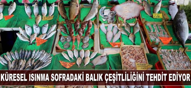 Küresel ısınma sofradaki balık çeşitliliğini tehdit ediyor