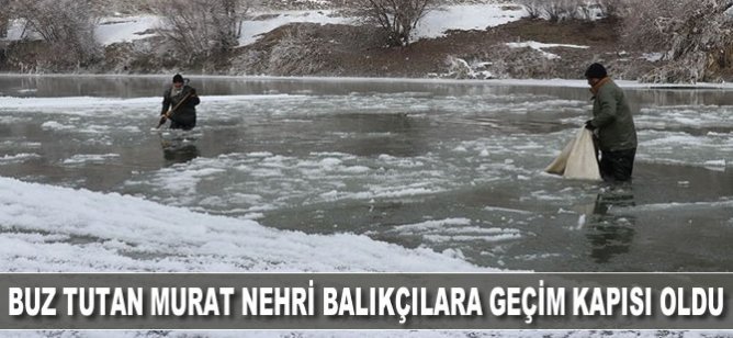 Buz tutan Murat Nehri balıkçılara geçim kapısı oldu