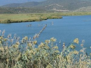 Güllük Limanı Revizyonu Projesi TBMM gündeminde