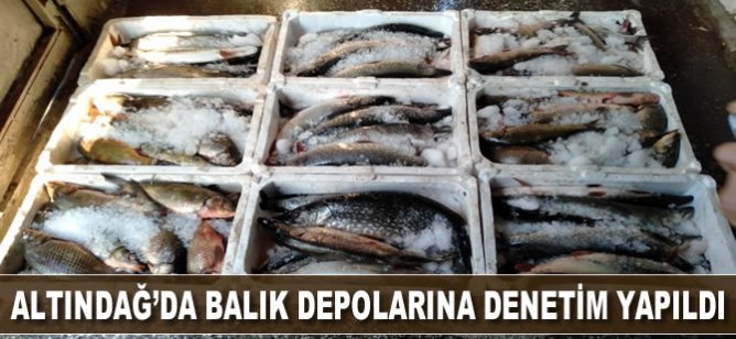 Altındağ’da balık depolarında denetim yapıldı