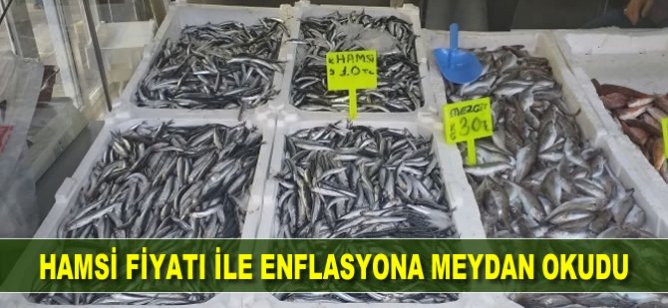 Hamsi, fiyatı ile enflasyona meydan okudu