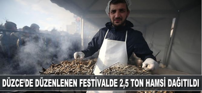 Düzce'de düzenlenen festivalde 2,5 ton hamsi dağıtıldı