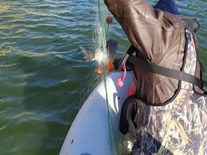 Aydın’da kaçak avlanmaya izin yok