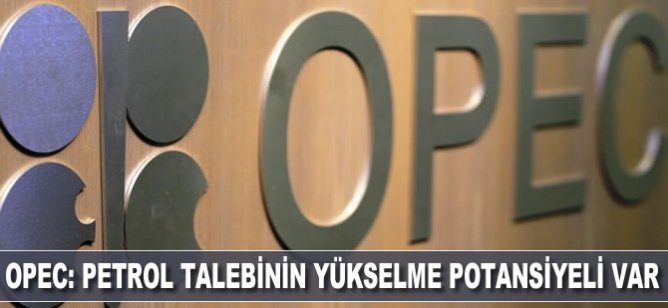OPEC: Petrol talebinin yükselme potansiyeli var