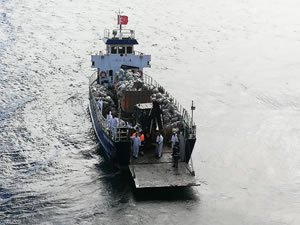 Büyükada'da 25 ton çöp ve atık toplandı