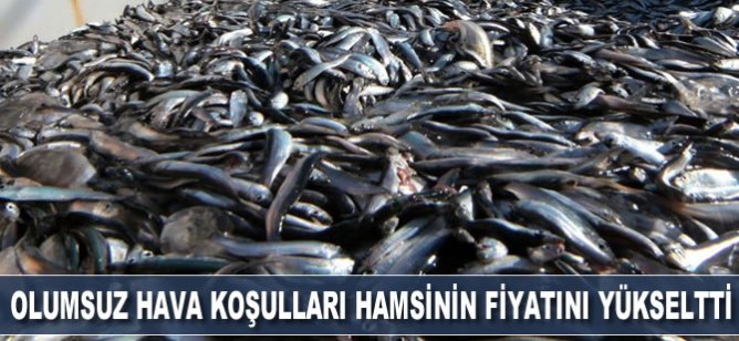 Olumsuz hava şartları hamsinin fiyatını yükseltti