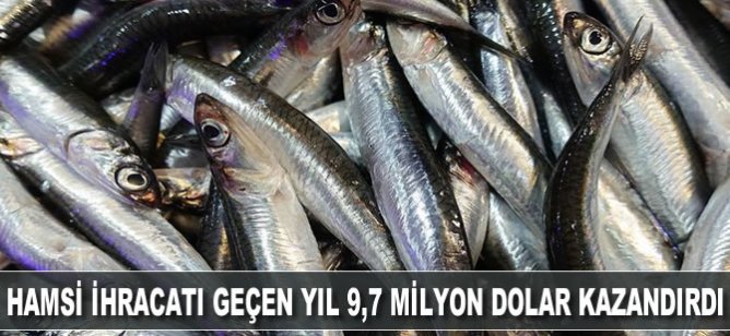 Hamsi ihracatı geçen yıl 9,7 milyon dolar kazandırdı