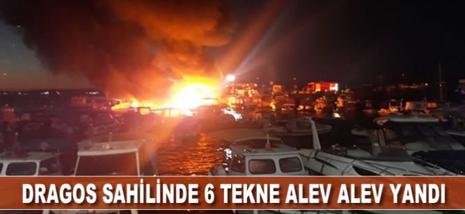 Kartal Dragos sahilindeki 6 tekne alev alev yandı
