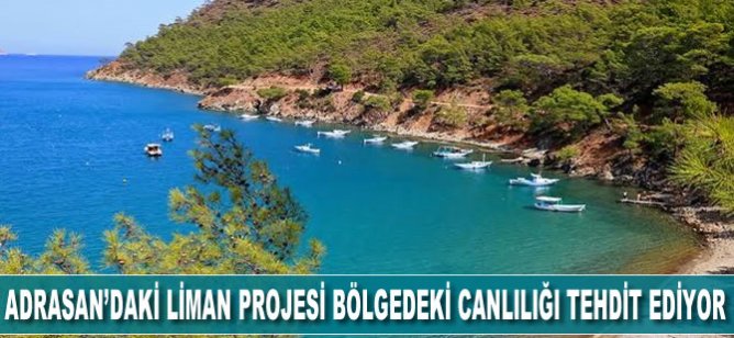Adrasan’daki liman projesi bölgedeki canlılığı tehdit ediyor
