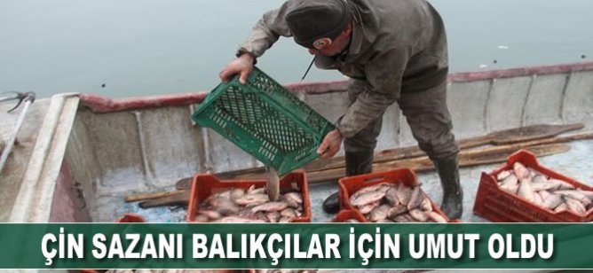Çin sazanı balıkçılar için umut oldu