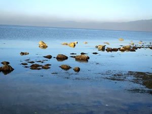 Deniz çekildi, antik limanın kalıntıları su yüzeyine çıktı