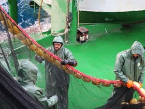 Çanakkale'de balıkçılara avlanma eğitimi verildi