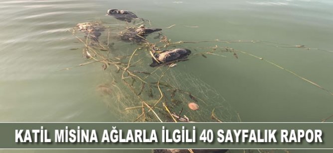 ‘Katil misina ağlarla’ ilgili 40 sayfalık rapor