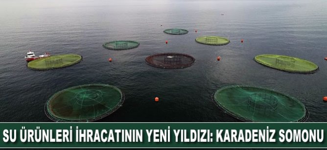 Su ürünleri ihracatının yeni yıldızı: Karadeniz somonu