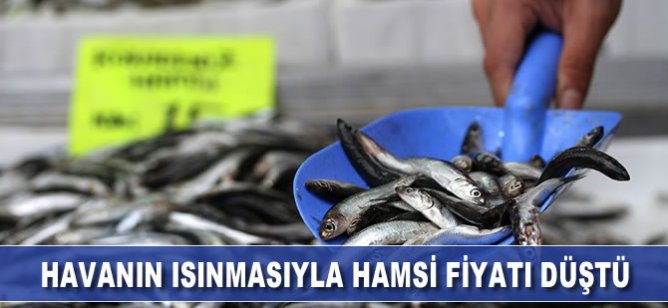 Havanın ısınmasıyla hamsi fiyatı düştü