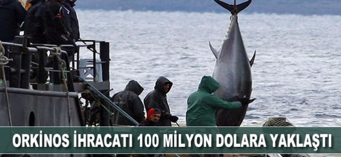 Orkinos ihracatı 100 milyon dolara yaklaştı