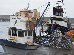 Batı Karadeniz'de balıkçılar bu sezon umduğunu bulamadı