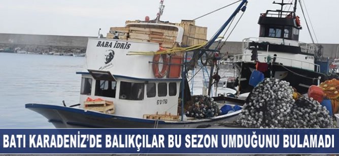 Batı Karadeniz'de balıkçılar bu sezon umduğunu bulamadı