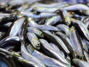 İstanbul'da 2019'da en çok tüketilen balık hamsi oldu