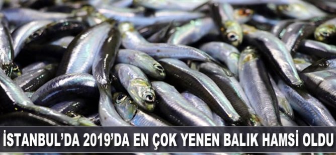 İstanbul'da 2019'da en çok tüketilen balık hamsi oldu