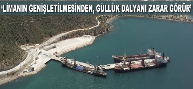 Güllük Körfezi Koruma Platformu üyesi Dönmez: Limanın genişletilmesinden, Güllük dalyanı zarar görür