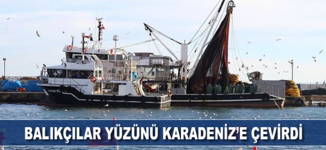 Marmara'da umduğunu bulamayan balıkçılar yüzünü Karadeniz'e çevirdi
