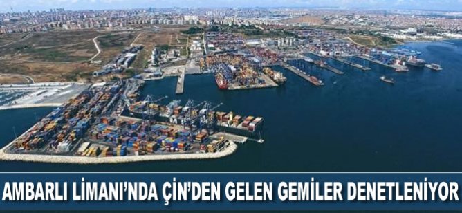 Ambarlı Limanı'nda Çin'den gelen gemiler denetleniyor