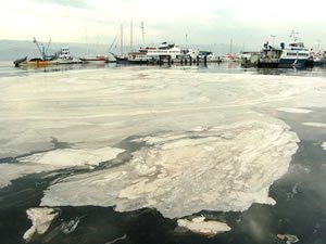 Marmara'daki balıkçılar ağlara yapışan "deniz salyası"ndan dertli