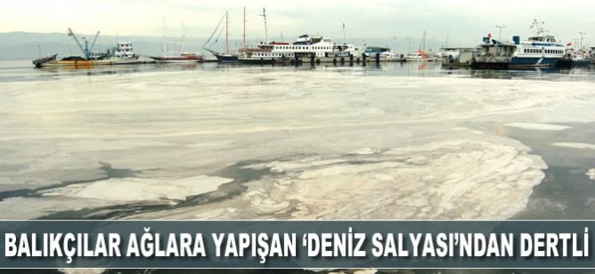 Marmara'daki balıkçılar ağlara yapışan "deniz salyası"ndan dertli