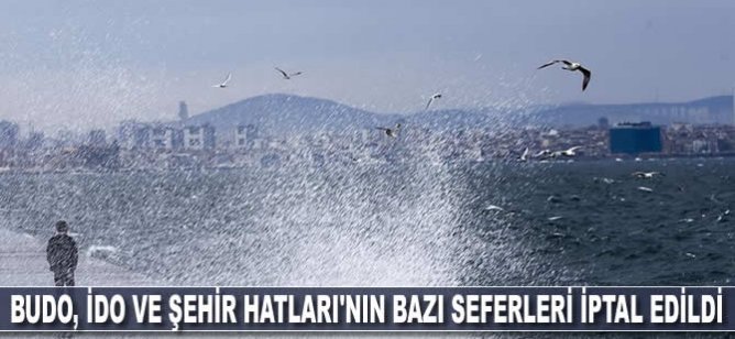 BUDO, İDO VE Şehir Hatları'nın bazı seferleri iptal edildi