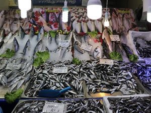 Balık av sezonunda sona geliniyor