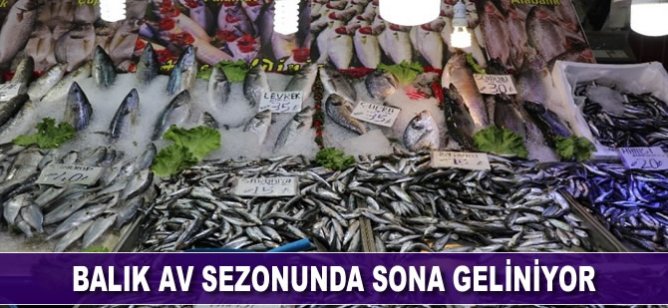 Balık av sezonunda sona geliniyor