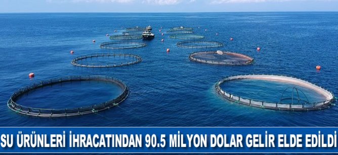 Su ürünleri ihracatından ocakta 90,5 milyon dolarlık gelir elde edildi