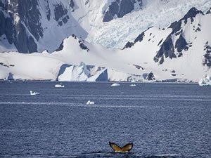 Türk ekibi pazar günü Antarktika yolculuğuna başlayacak