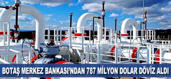 BOTAŞ Merkez Bankası'ndan 787 milyon dolar döviz aldı